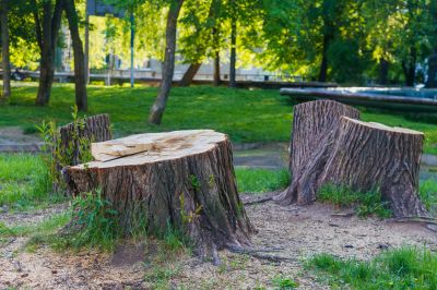 Safety and Hazard Mitigation