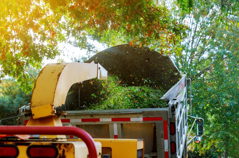 Control Vegetation Growth With Professional Brush Mulching Service!