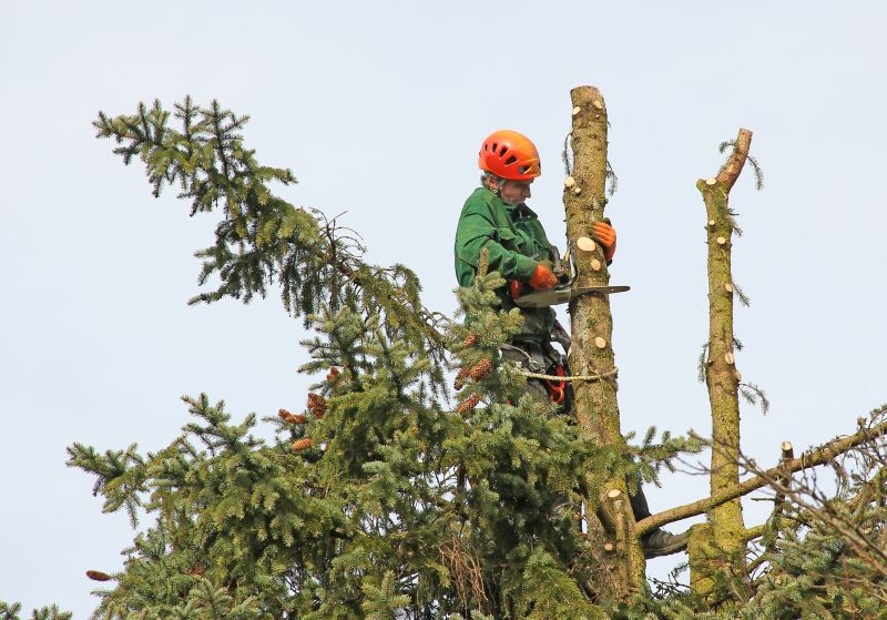 Arborist