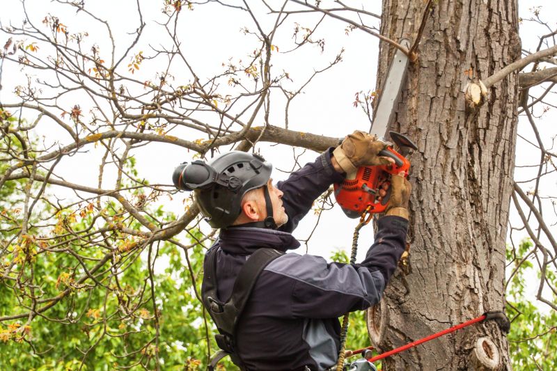 Tree Pruning Service