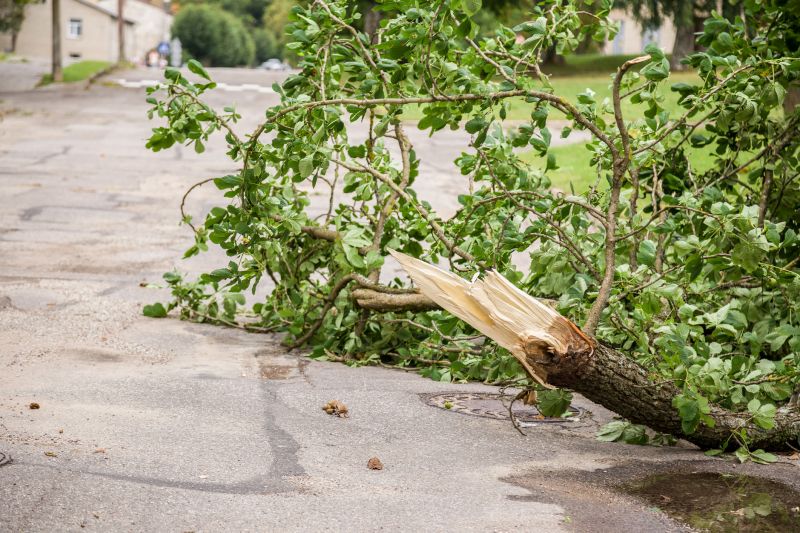 Prevents property damage.