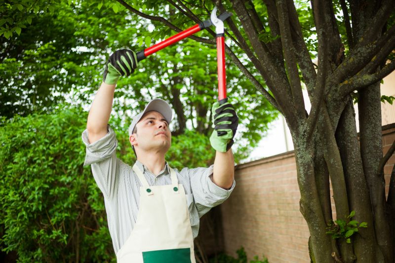 Contact About Arborist
