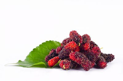 Avoid Decaying Berries