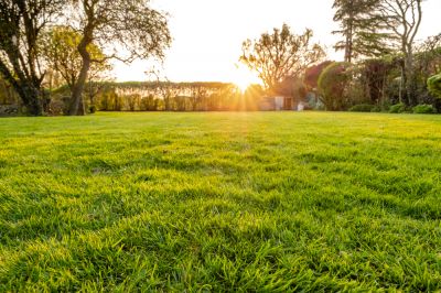 Clear Space on Your Property!