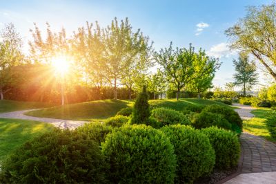 Year-Round Greenery