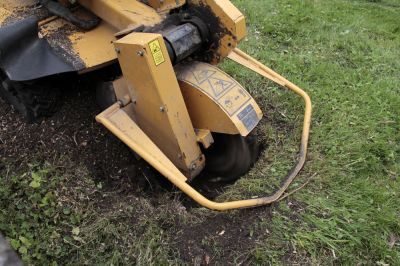 Remove a Stump, as They Can Be a Safety Hazard