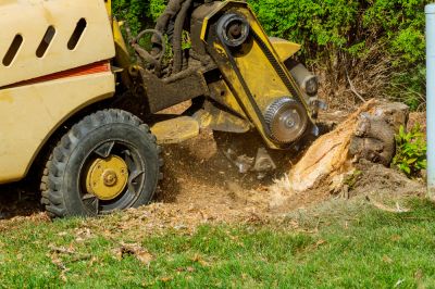 Safely Remove a Stump