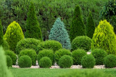 Erosion Control