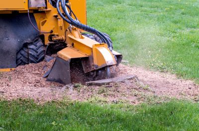 Get Stumps Ground Down Professionally!