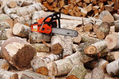 Remove the Trees and Stumps to Clear the Land!