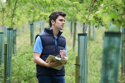 Detect Diseases and Treat the Tree!