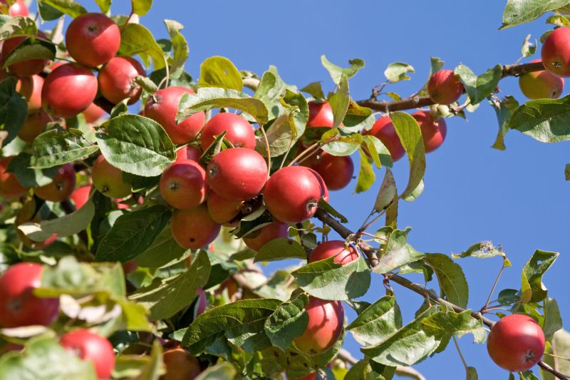 Preventing the spread of disease
