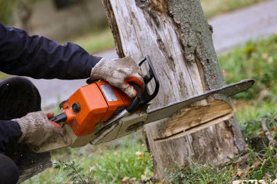 Improve the Look of Your Home!