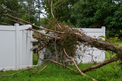 Emergency Tree Service - Emergency Tree Service Yakima, Washington