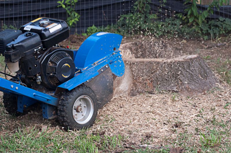 Tree stumps can be a tripping hazard, especially in areas where children or elderly people might walk