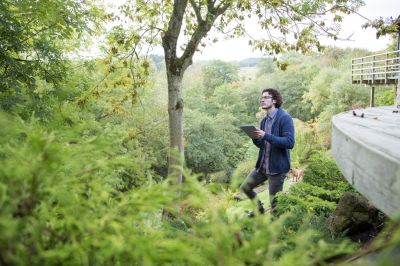 An Arborist Can Perform a Tree Health Assessment!