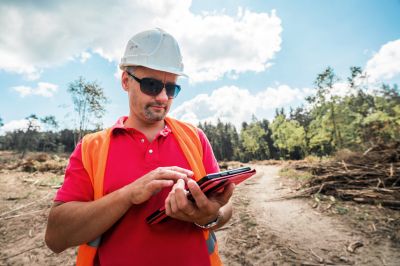 An Arborist is Knowledgeable!