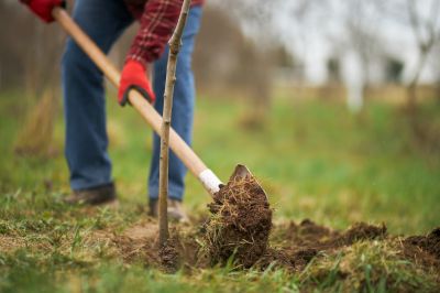 Get Environmental Benefits!