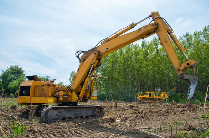 Get Professional Tree and Brush Clearing To Enhance Safety!