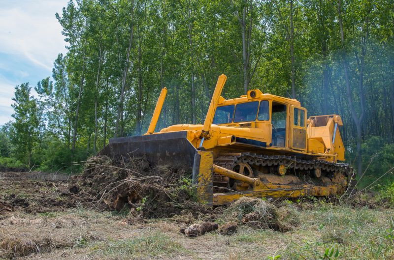 Increase Usable Space With Expert Tree Removal and Brush Clearing!
