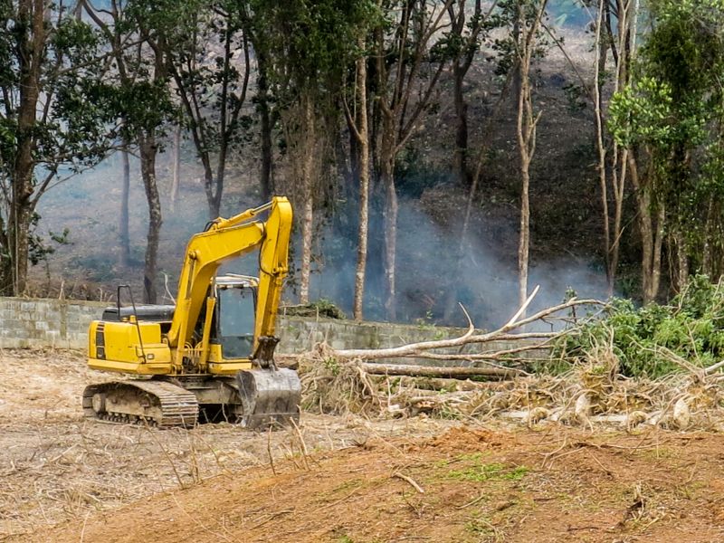 Invest in Professional Land Clearing Service To Enhance Ecosystem Health!
