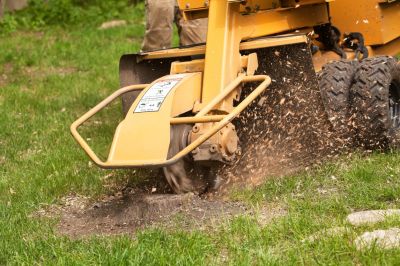 Clear Space in Your Landscaping For New Projects!