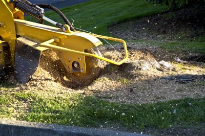 Improve The Visual Appeal of Your Property!