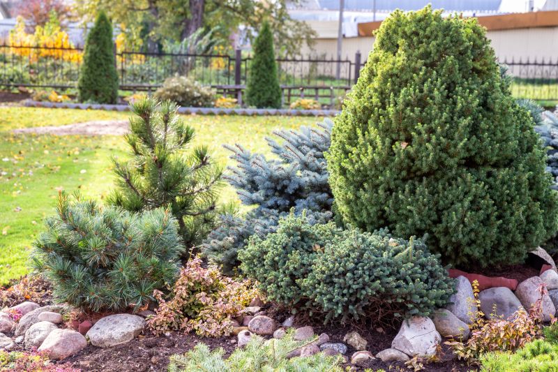 Trimming Arbivorates Enhances Tree Health