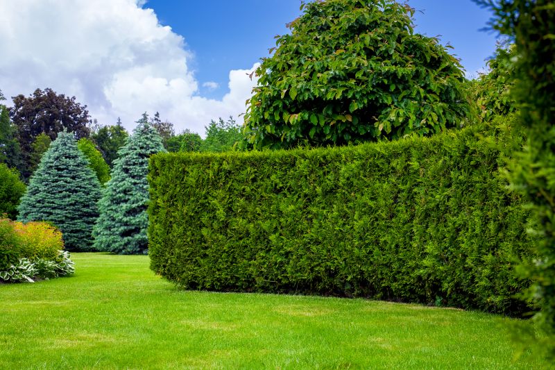 Trimming Arbivorates Upgrades Property Aesthetics