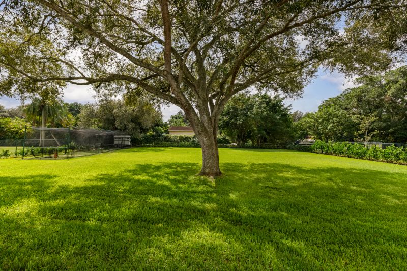 Preservation of Mature Trees!